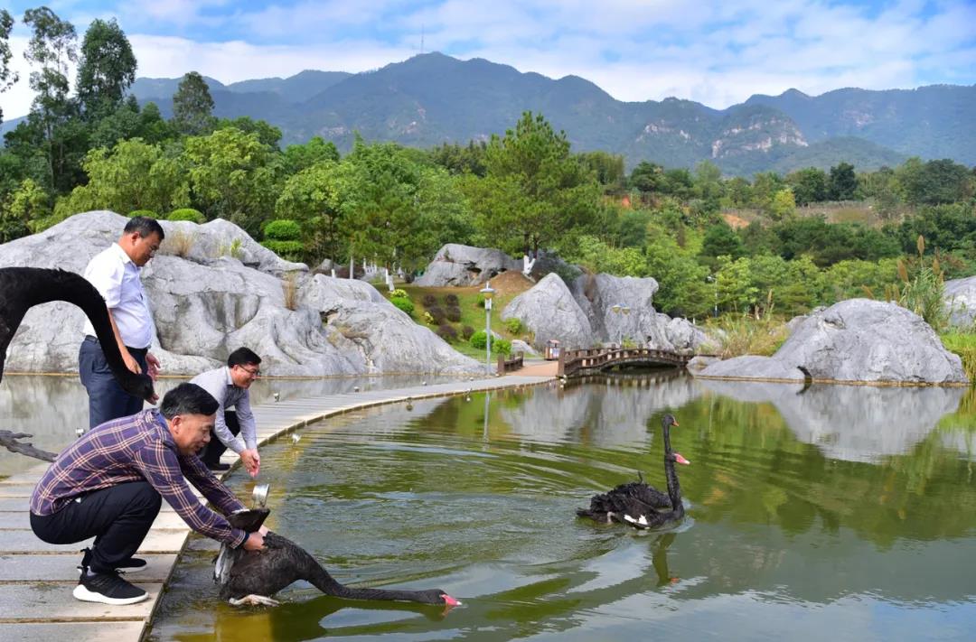 william威廉中文官网