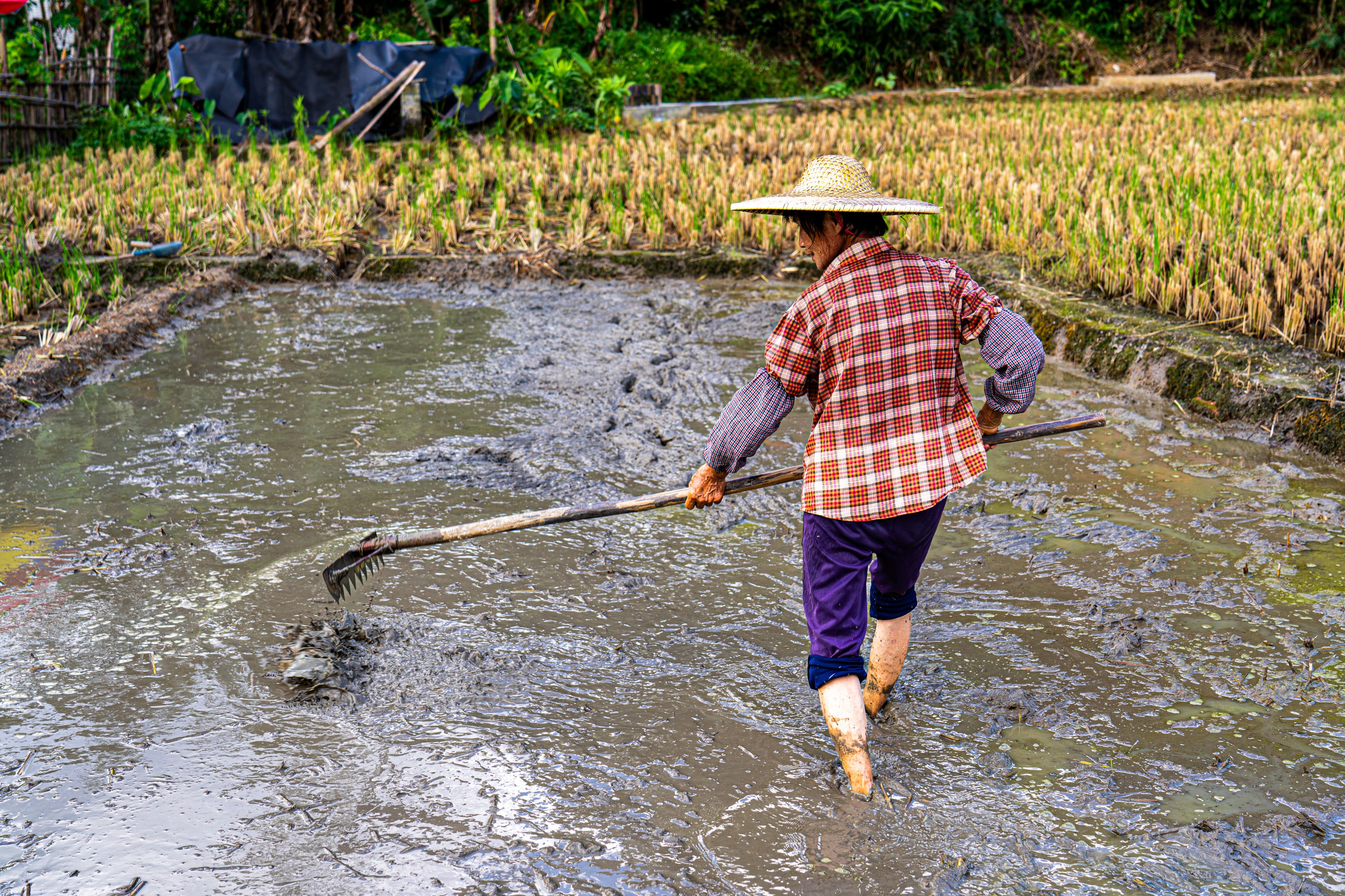 william威廉中文官网