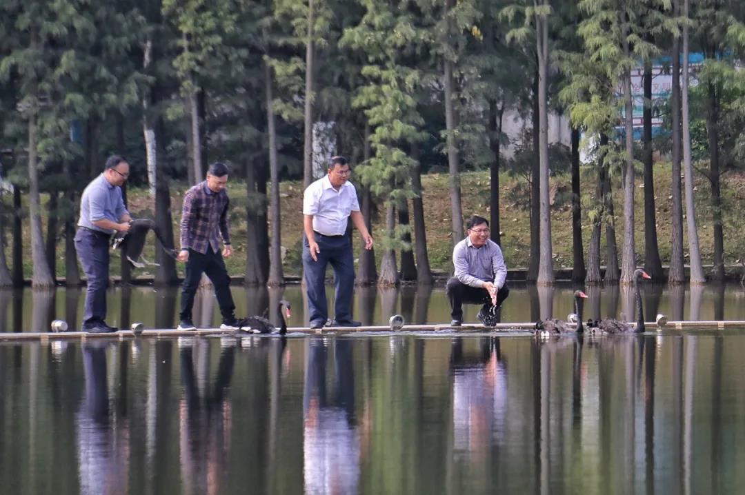 william威廉中文官网