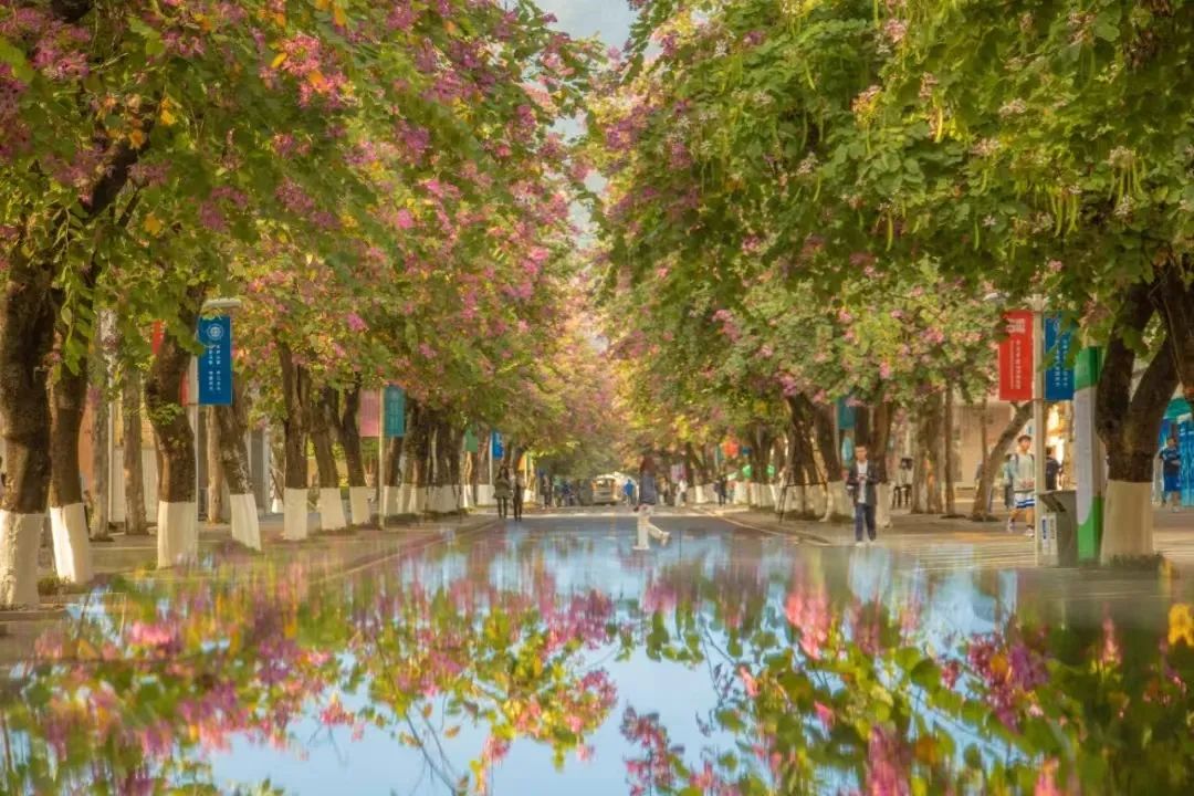 william威廉中文官网