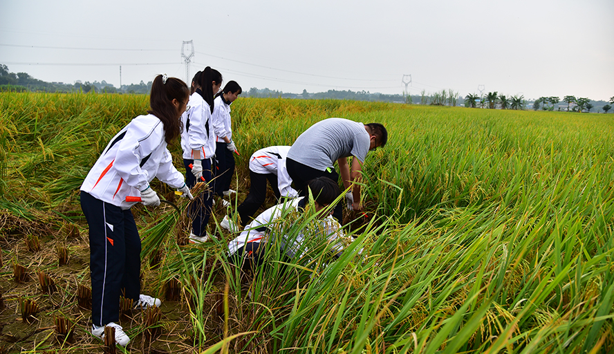 william威廉中文官网