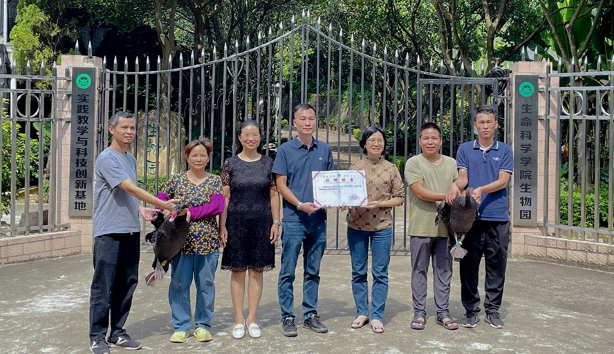 william威廉中文官网