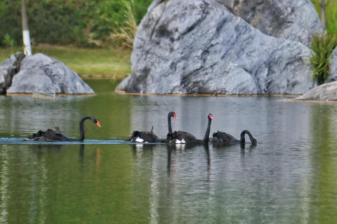 william威廉中文官网