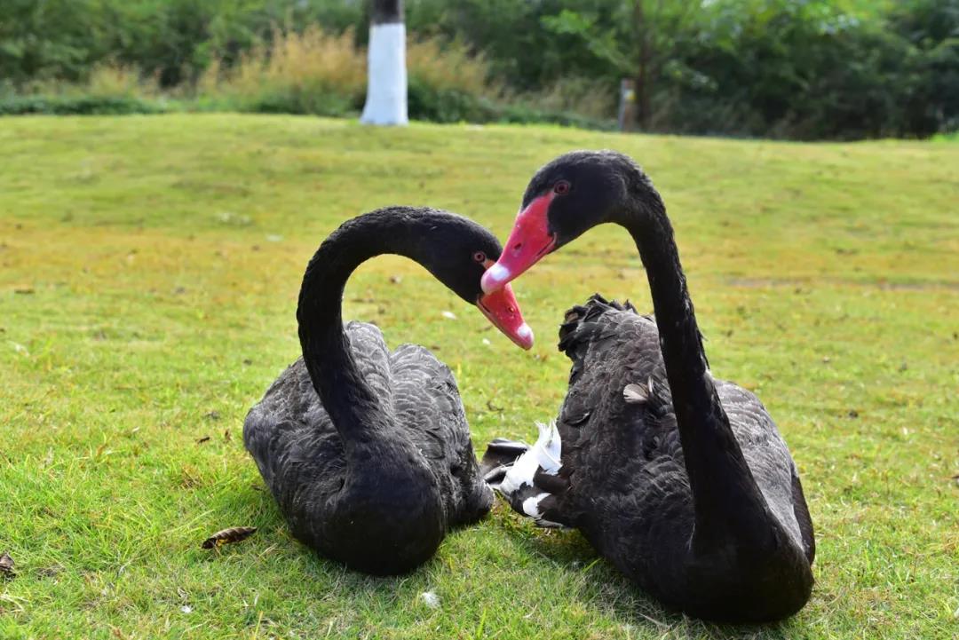 william威廉中文官网