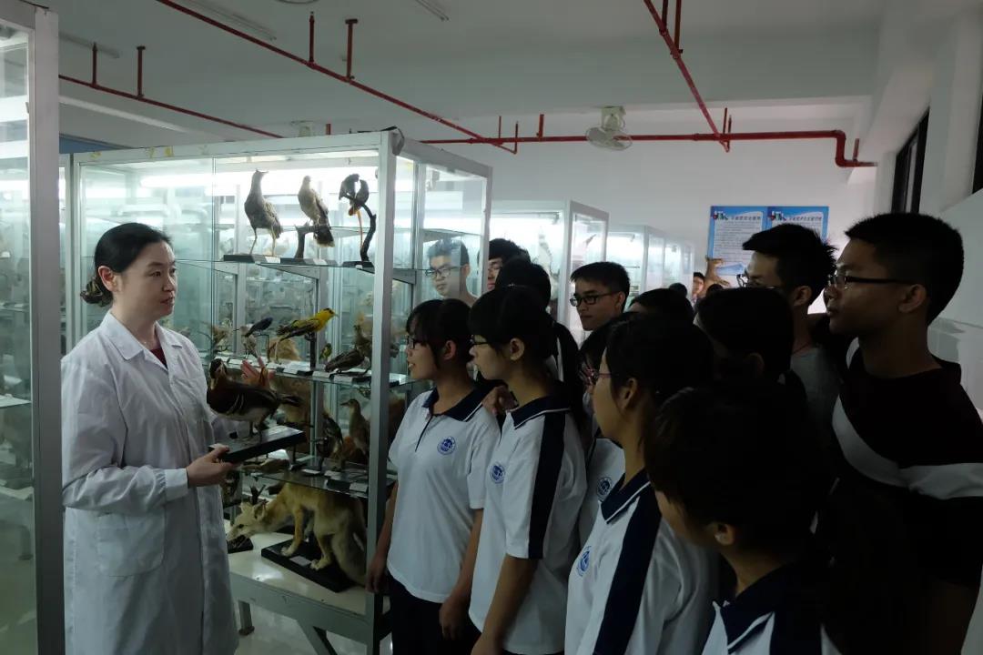 william威廉中文官网