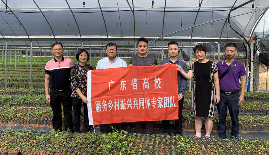 william威廉中文官网