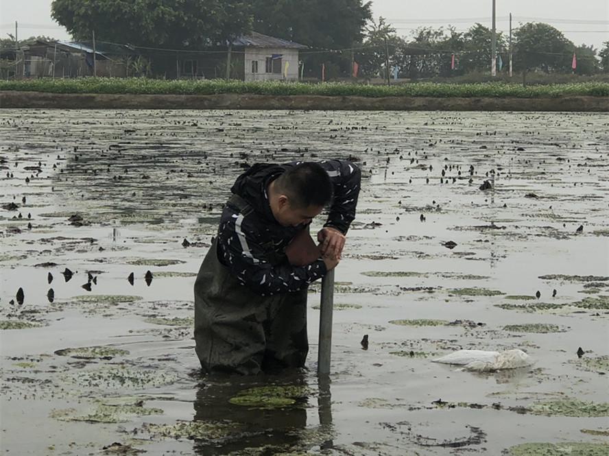 william威廉中文官网