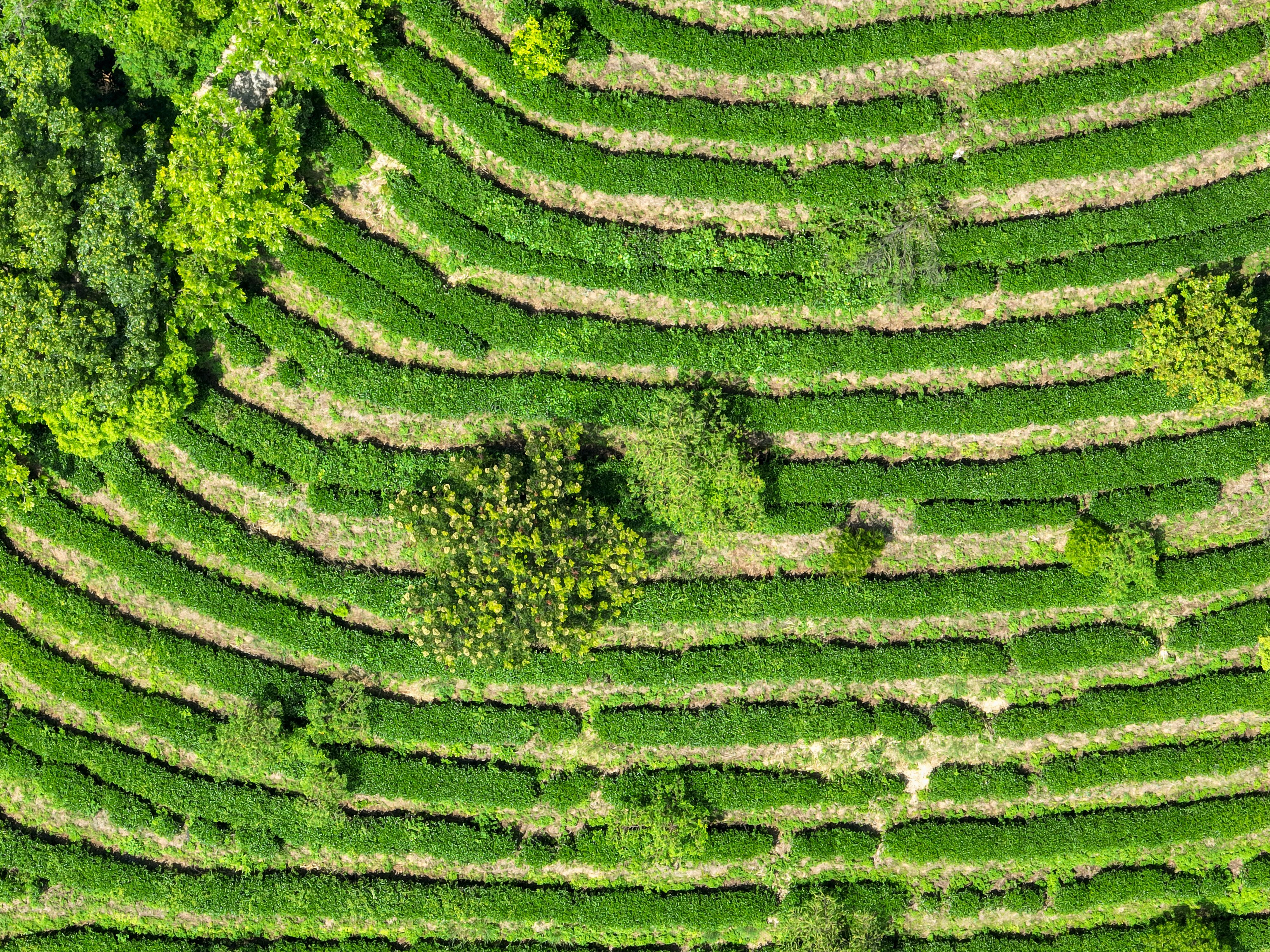 william威廉中文官网