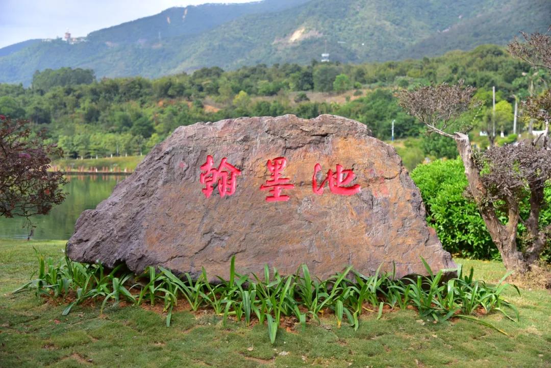 william威廉中文官网