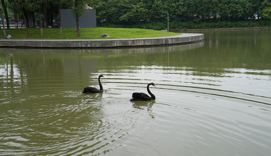 william威廉中文官网