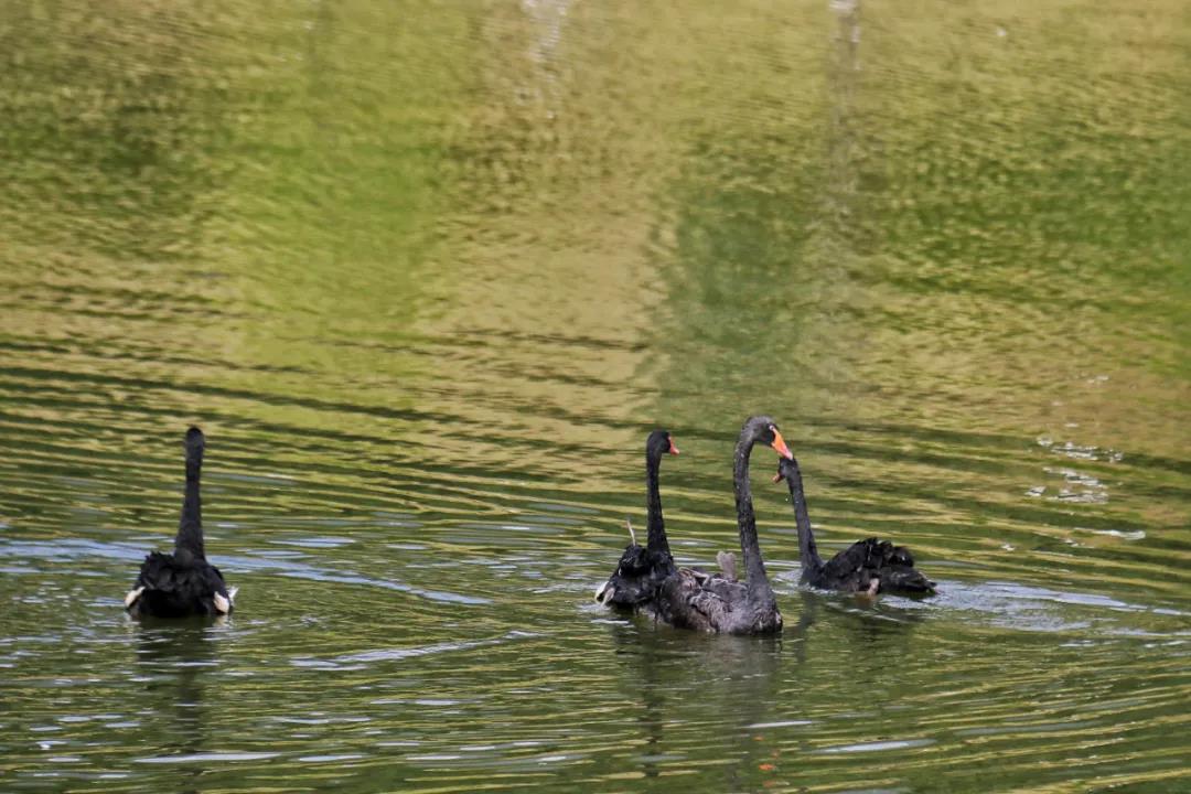 william威廉中文官网