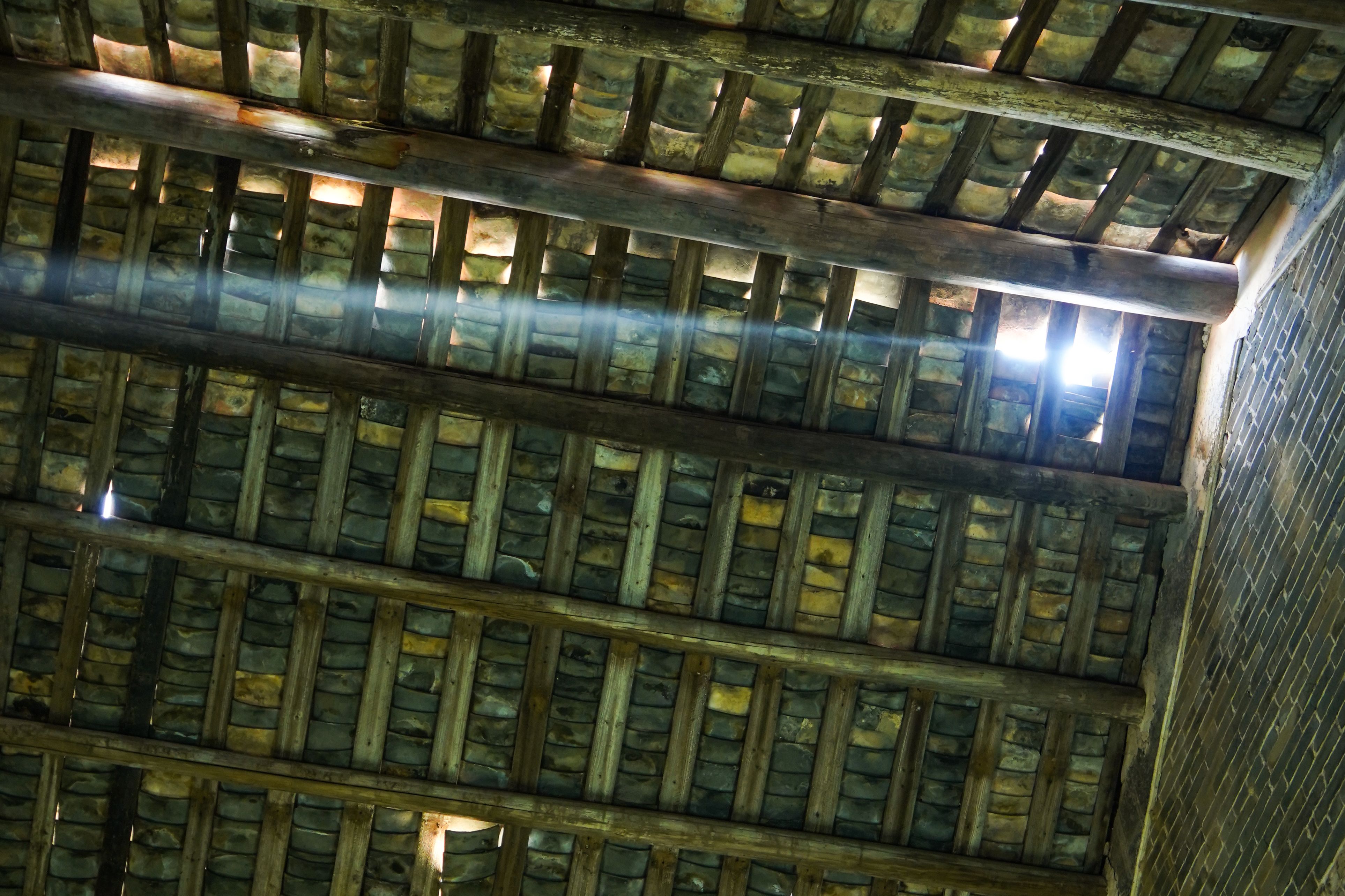 william威廉中文官网