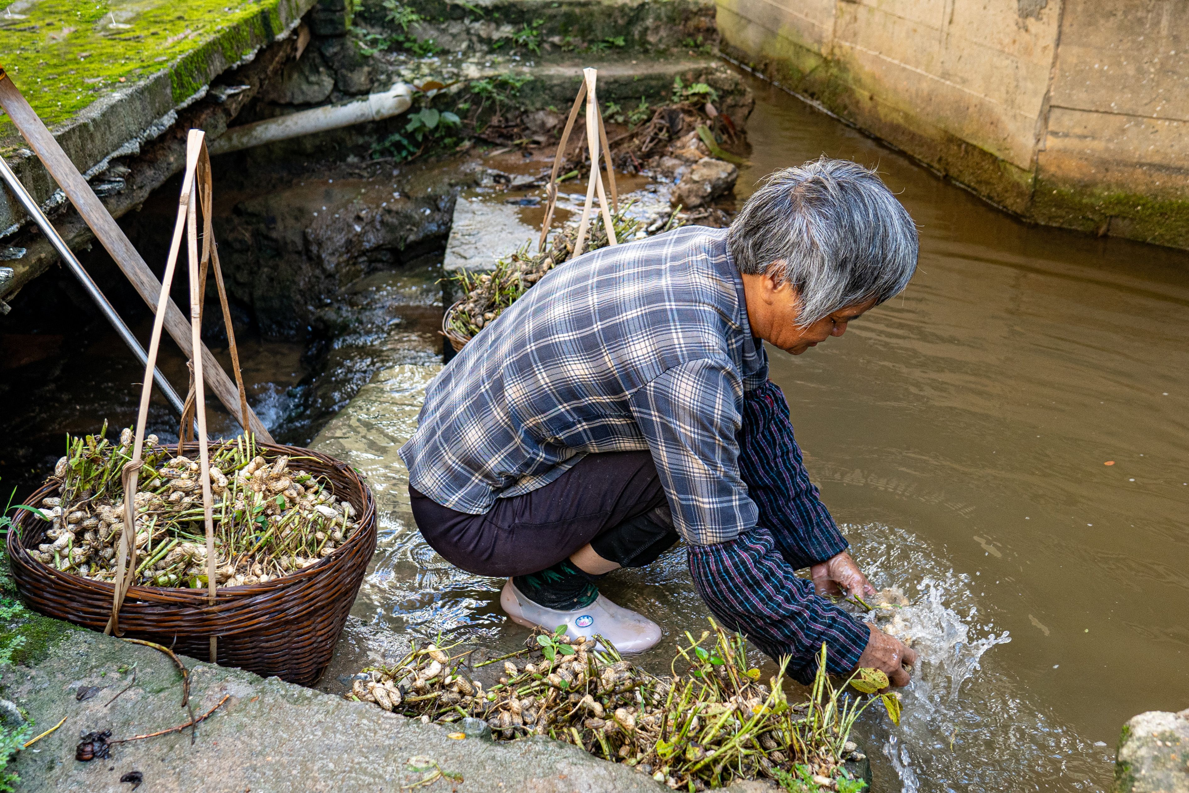 william威廉中文官网