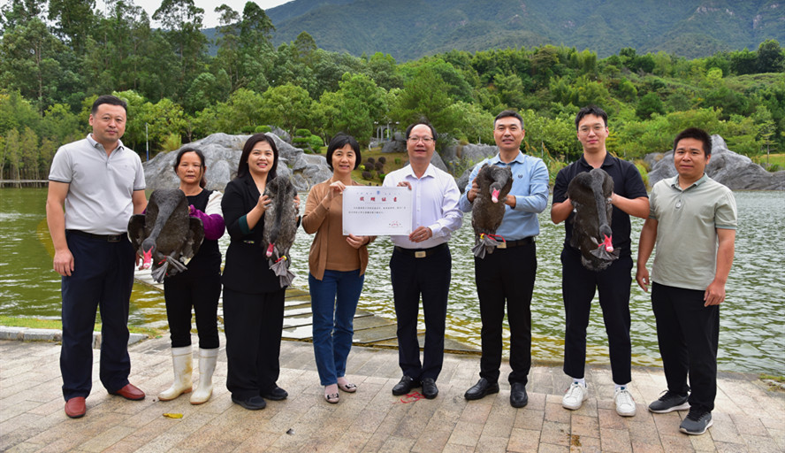 william威廉中文官网