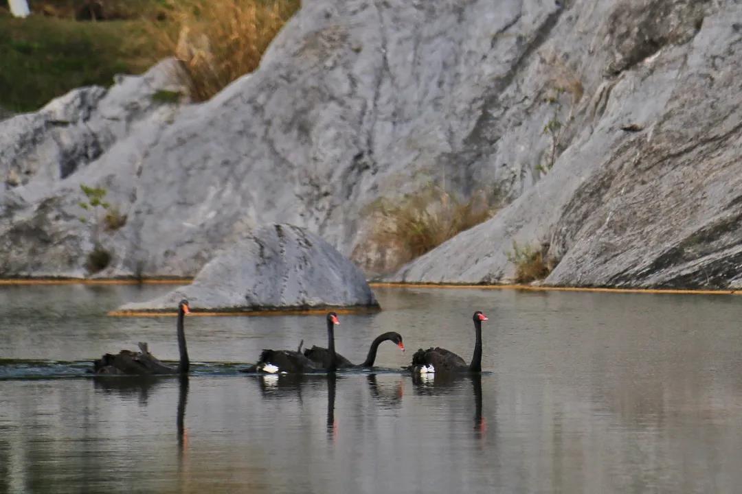 william威廉中文官网