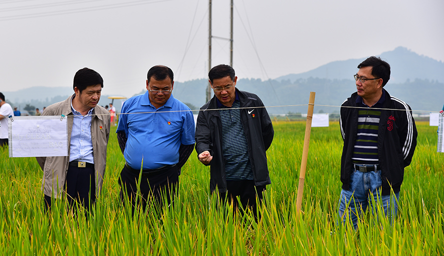 william威廉中文官网